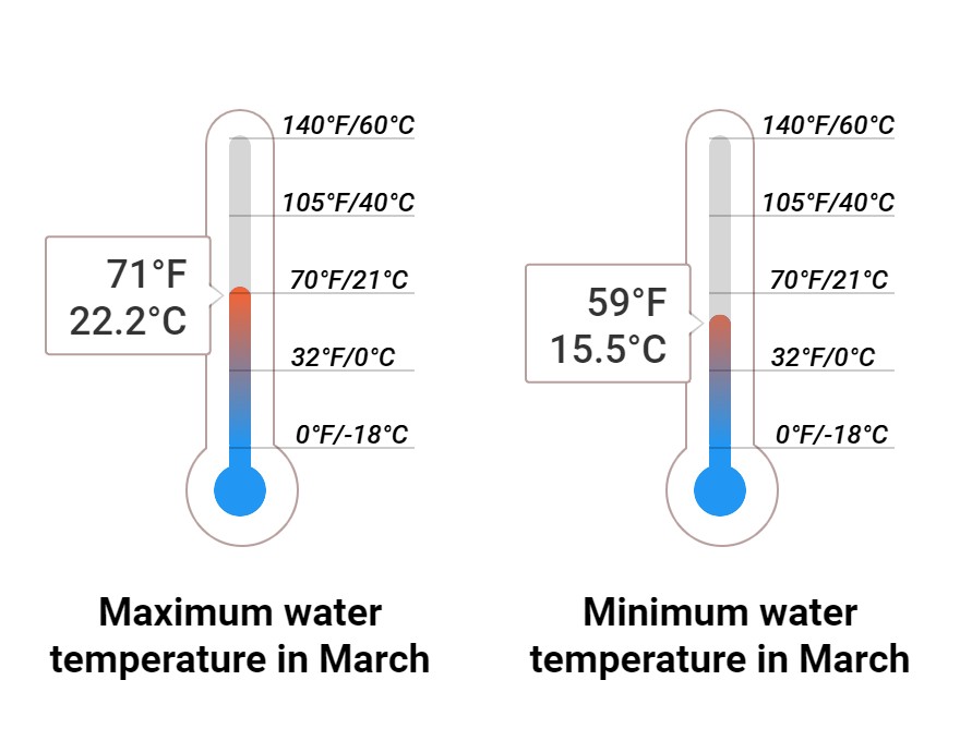 Average Sea temperature